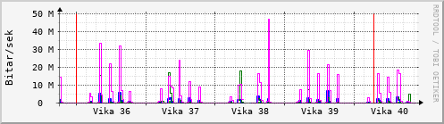 Sustu vikur Graph