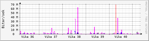 Sustu vikur Graph