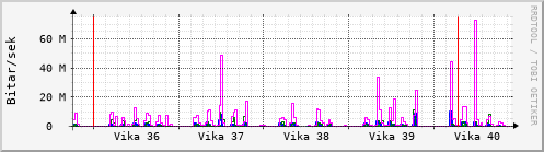 Sustu vikur Graph