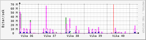 Sustu vikur Graph