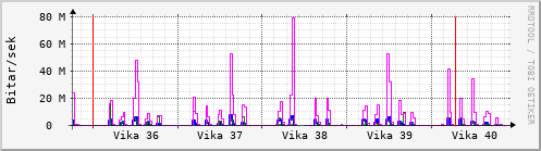 Sustu vikur Graph