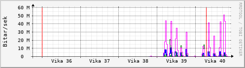 Sustu vikur Graph