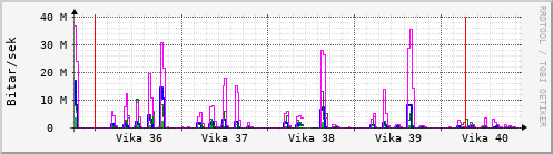 Sustu vikur Graph