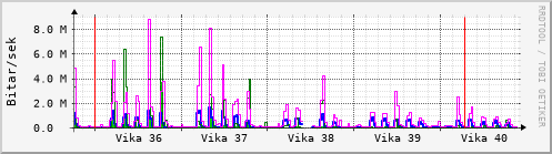 Sustu vikur Graph