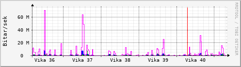 Sustu vikur Graph