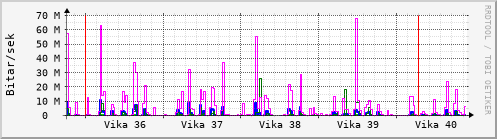 Sustu vikur Graph