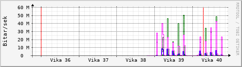 Sustu vikur Graph