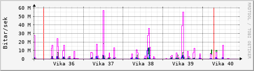 Sustu vikur Graph