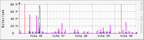 Sustu vikur Graph