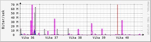 Sustu vikur Graph