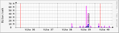 Sustu vikur Graph