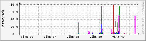 Sustu vikur Graph