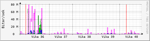 Sustu vikur Graph