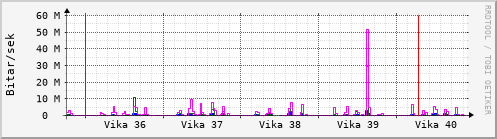 Sustu vikur Graph