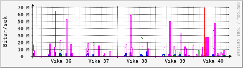 Sustu vikur Graph