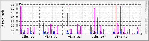 Sustu vikur Graph