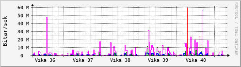 Sustu vikur Graph