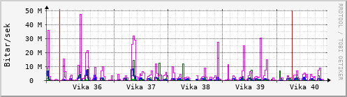 Sustu vikur Graph