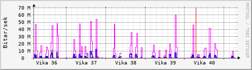 Sustu vikur Graph