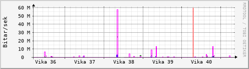 Sustu vikur Graph