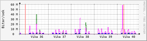 Sustu vikur Graph