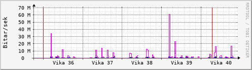 Sustu vikur Graph