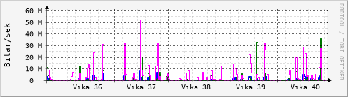 Sustu vikur Graph