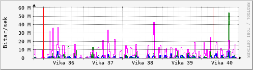 Sustu vikur Graph