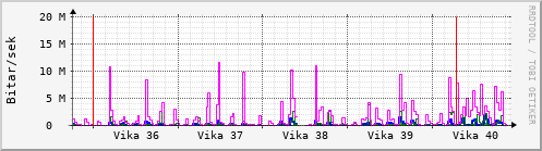 Sustu vikur Graph