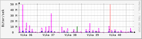 Sustu vikur Graph