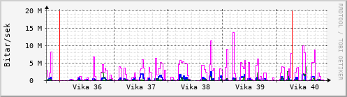 Sustu vikur Graph