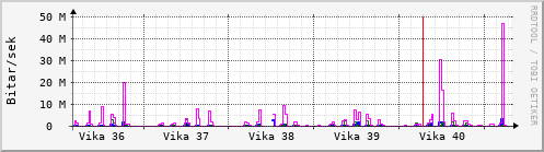 Sustu vikur Graph