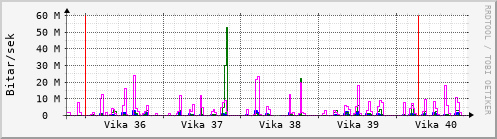 Sustu vikur Graph