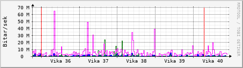 Sustu vikur Graph