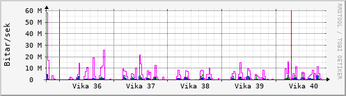 Sustu vikur Graph