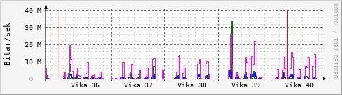 Sustu vikur Graph