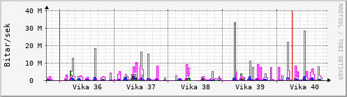 Sustu vikur Graph