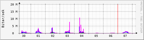 Sustu dagar Graph