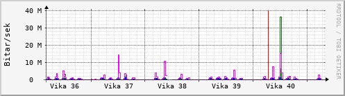 Sustu vikur Graph