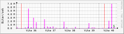 Sustu vikur Graph