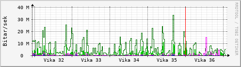 Sustu vikur Graph