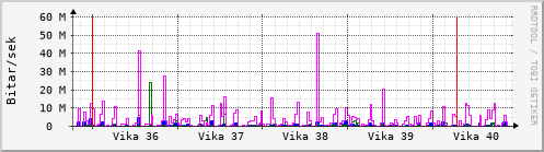 Sustu vikur Graph