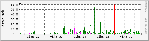 Sustu vikur Graph