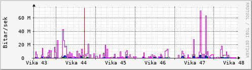 Sustu vikur Graph