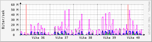 Sustu vikur Graph