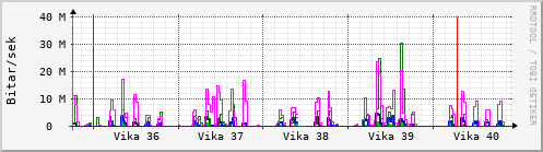 Sustu vikur Graph