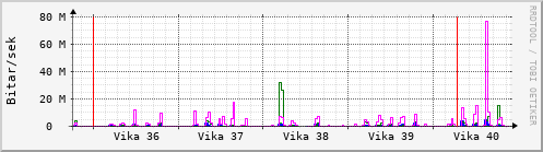 Sustu vikur Graph