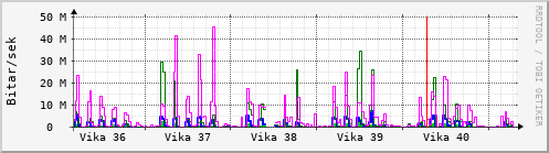 Sustu vikur Graph