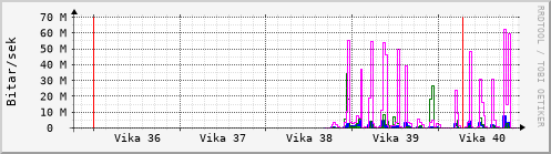 Sustu vikur Graph