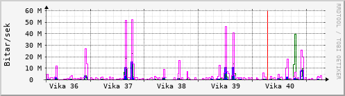 Sustu vikur Graph